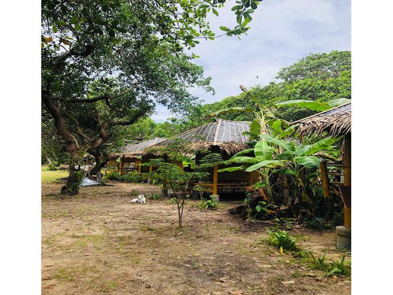Chalee Tropicana Bungalow Koh Phayam Dış mekan fotoğraf